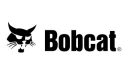 bobcat